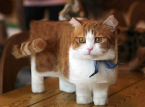 Mojang vill lägga till din söta katt i Minecraft